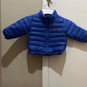 Patagonia Vibrant Blue Quilted Jacket